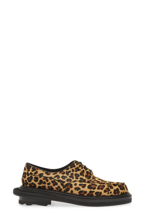 Shop Jm Weston X Sacai Genuine Calf Hair Golf Derby In Leopard Calf Hair