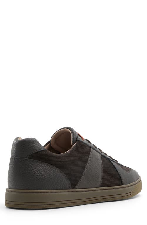 Ted Baker London Bishopwood Sneaker In Dark Brown
