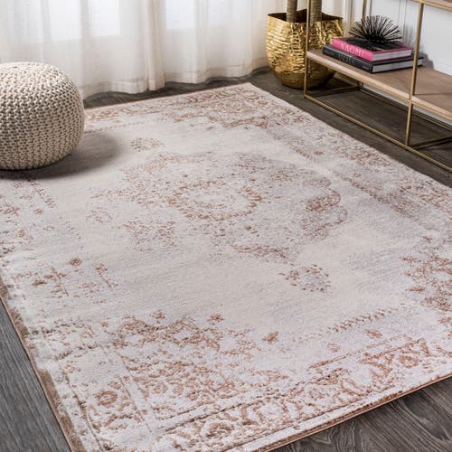 Jonathan Y Rosalia Cottage Medallion Area Rug In Brown/cream