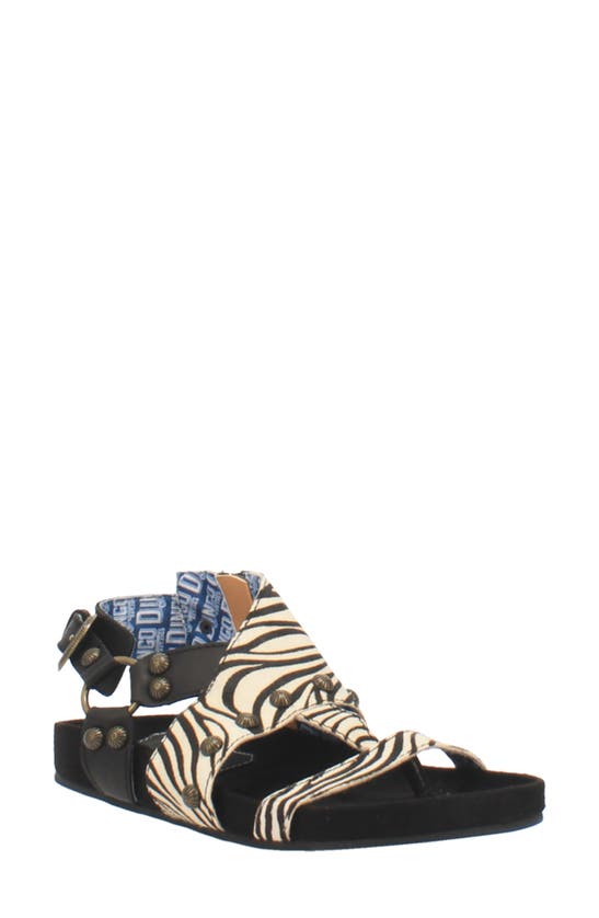 Dingo Sage Brush Sandal In Zebra Print Calf Hair