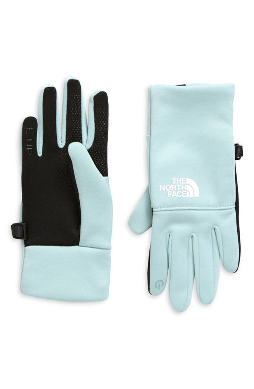 Shop The North Face Kids' Recycled Polyester Etip Gloves In Muted Pine