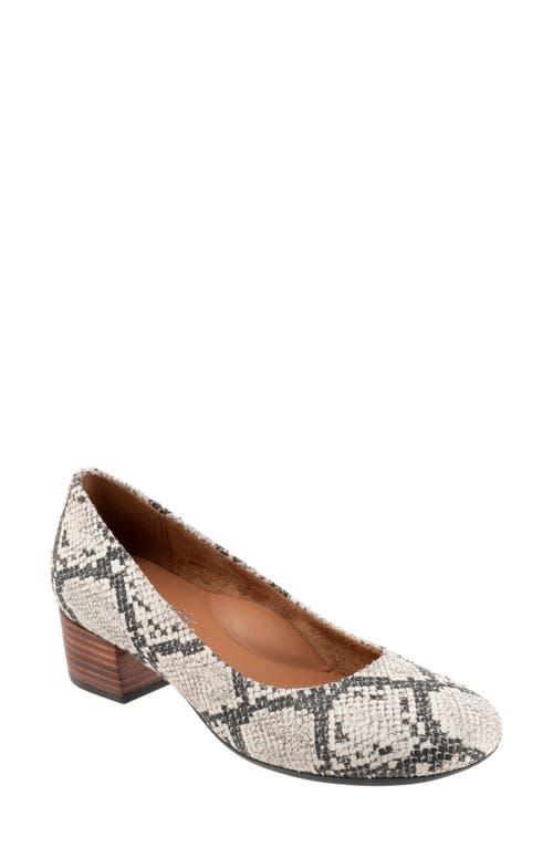 SoftWalk Lynn Pump Black White Snake at Nordstrom,