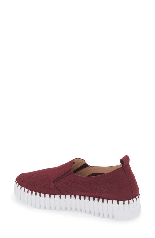 Ilse Jacobsen Tulipu Perforated Platform Sneaker In Winetasting