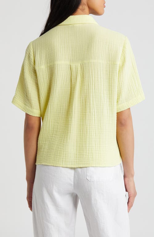 Eileen Fisher Classic Collar Shirt In Citrus