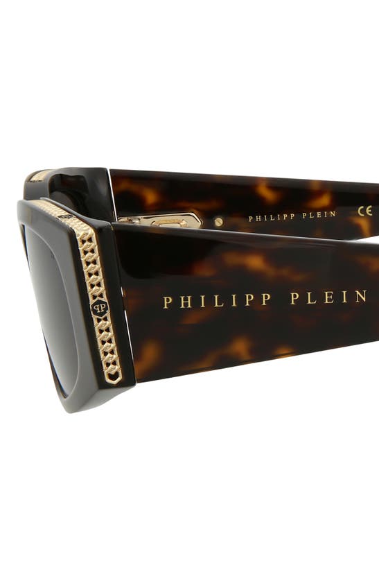 Shop Philipp Plein 55mm Oval Sunglasses In Havana Havana Brown