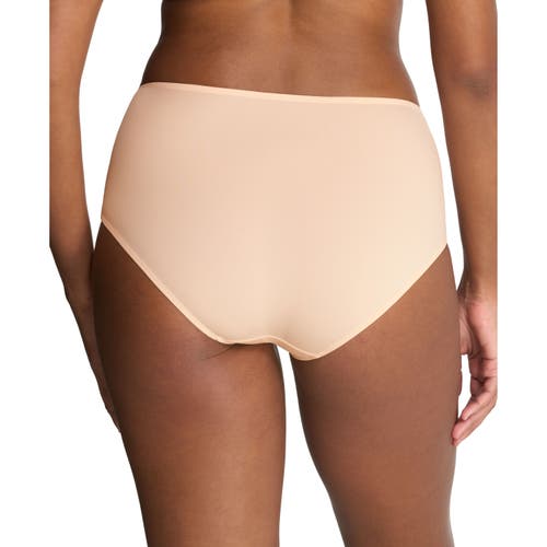NATORI NATORI STATEMENT LACE FULL BRIEF