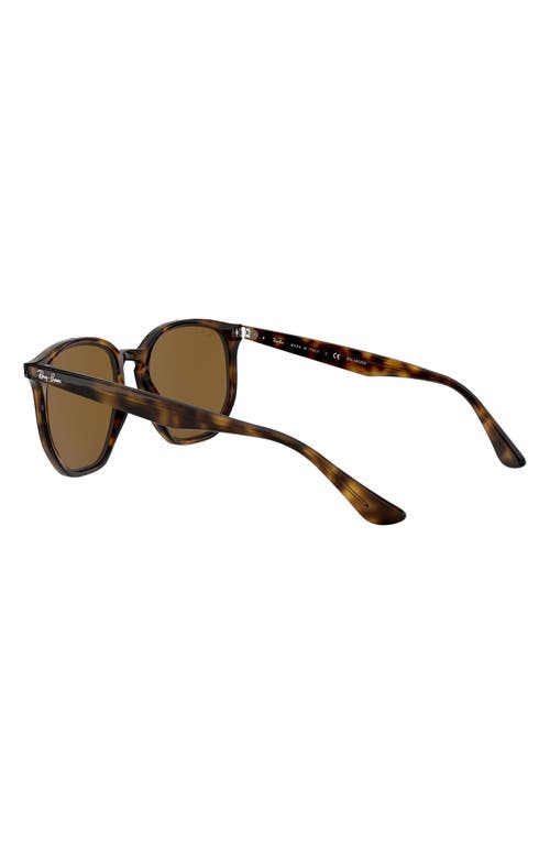 Ray Ban Rb4306 Sunglasses Tortoise Frame Brown Lenses Polarized 54-19 In Havana/brown Solid