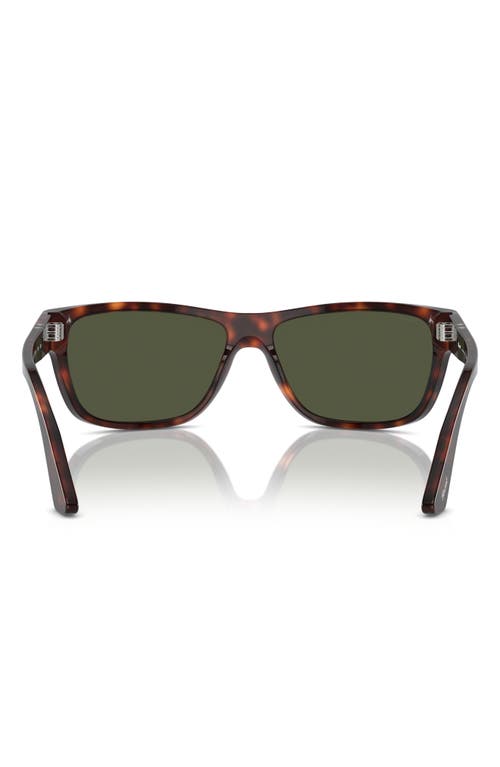 Persol 63mm Oversize Rectangular Sunglasses In Havana