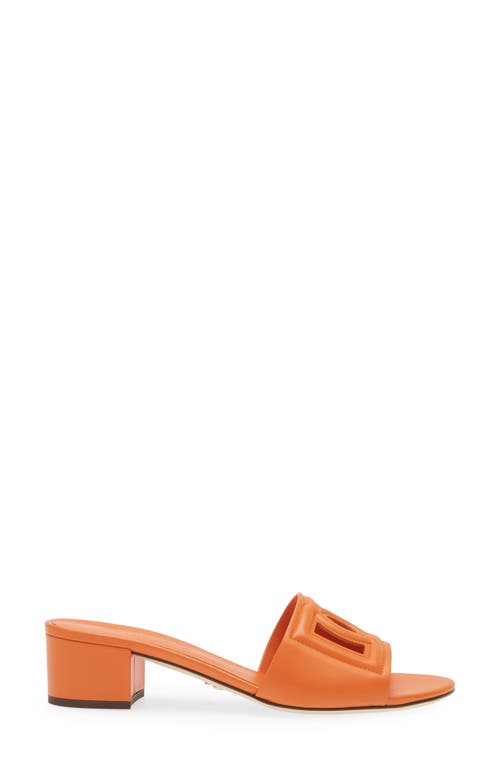 Shop Dolce & Gabbana Dolce&gabbana Dg Interlock Slide Sandal In 80244 Orange