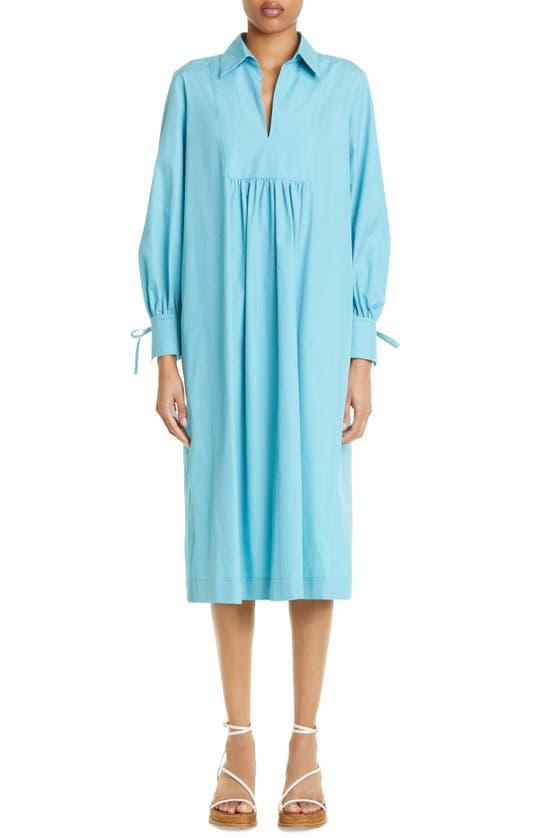 Max Mara Nupar Shirt Dress In Anice