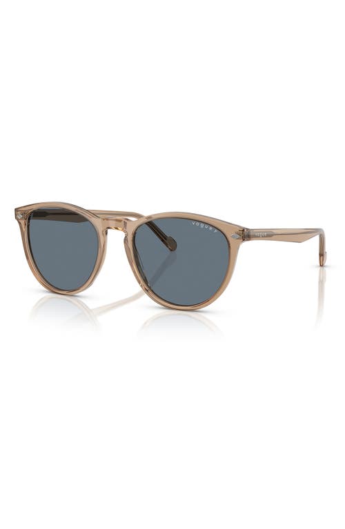 Vogue 53mm Phantos Sunglasses In Beige Polarized