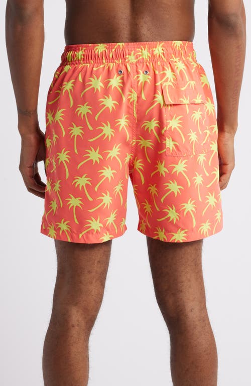 Shop Tom & Teddy Palm Tree Print Performance Swim Trunks In Coral & Lime