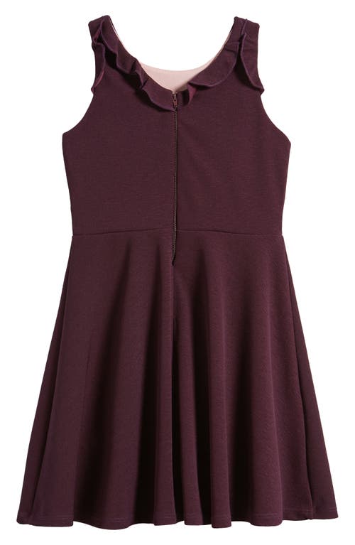 Ava & Yelly Kids' Ruffle Sleeveless Skater Dress In Plum