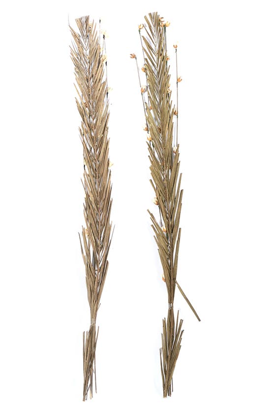 SONOMA SAGE HOME SONOMA SAGE HOME BROWN DRIED PLANT PIGEON PEA NATURAL FOLIAGE