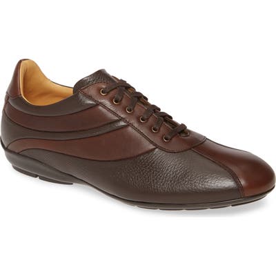 Mezlan Luka Sneaker, Brown