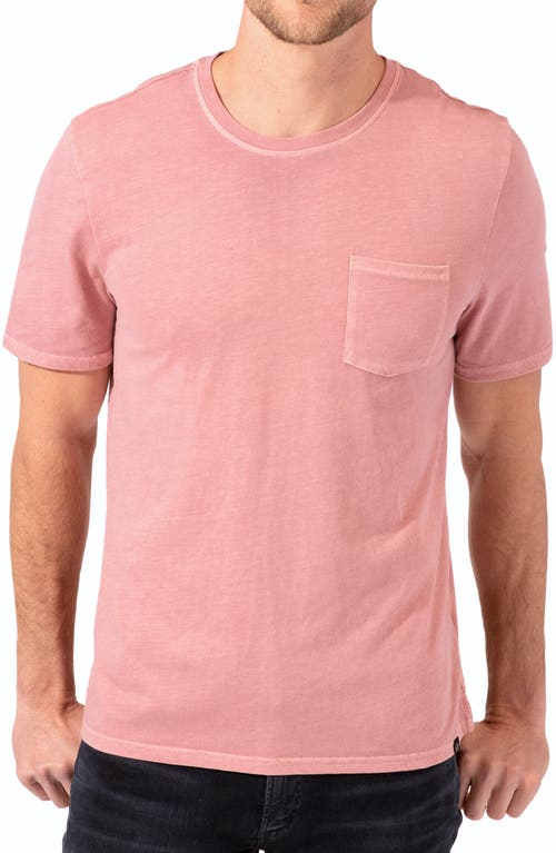 Graphite Organic Cotton Blend T-Shirt in Sequoia