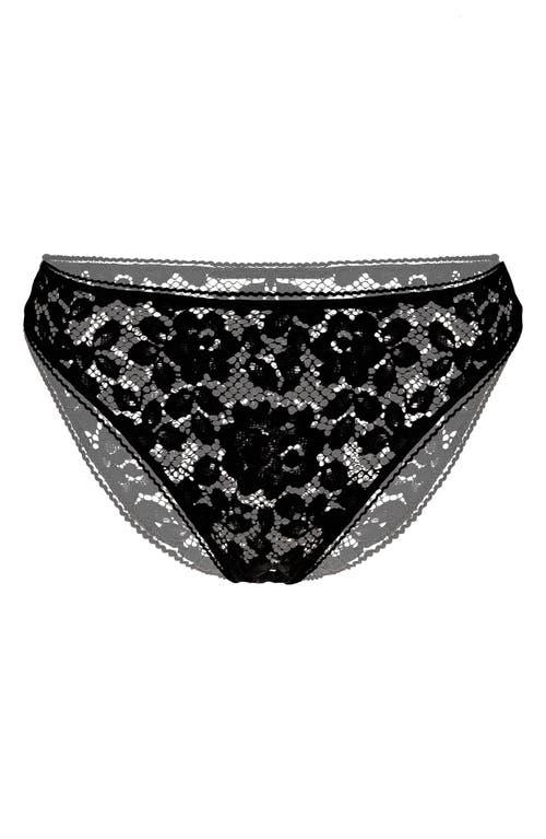 Wolford Lace Bikini In Black
