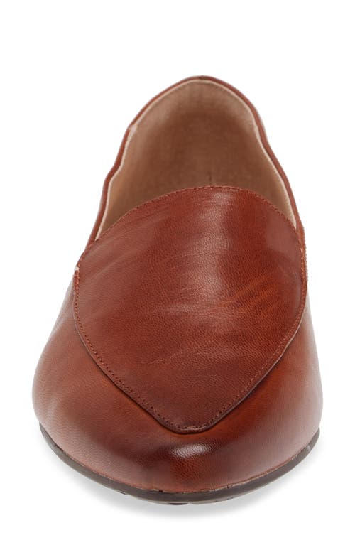 Chocolat Blu Ace Pointed Toe Loafer In Brown Leather