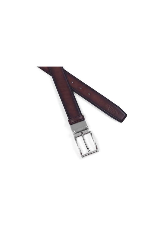 Anthony Veer Bari Leather Belt In Brown