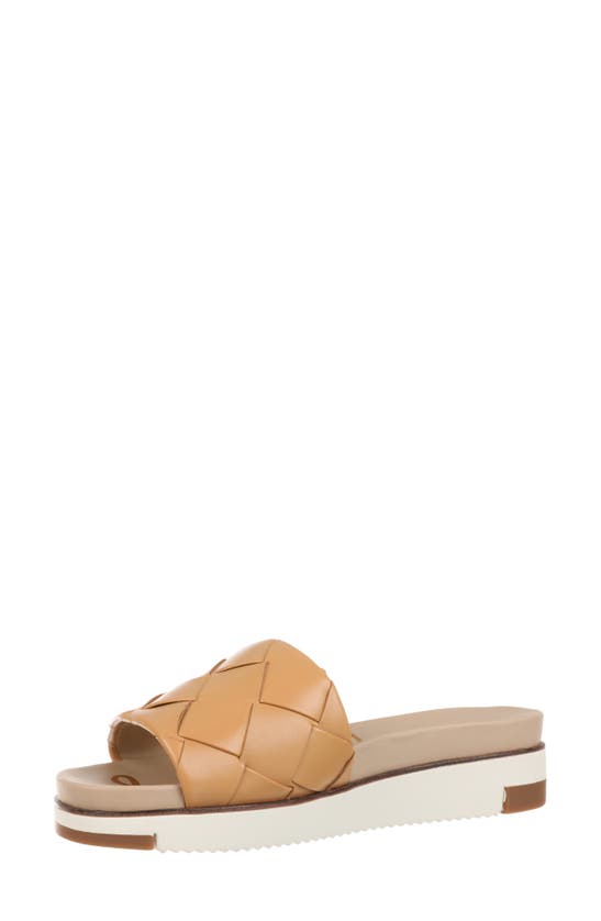 Shop Sam Edelman Adaley Slide Sandal In Natural