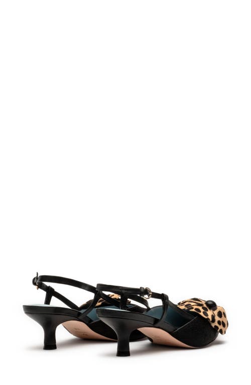 Frances Valentine Flower Genuine Calf Hair Kitten Heel Slingback Pump In Haircalf Black
