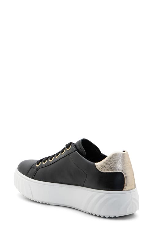 Shop Ara Mikky Platform Sneaker In Black W Platinum