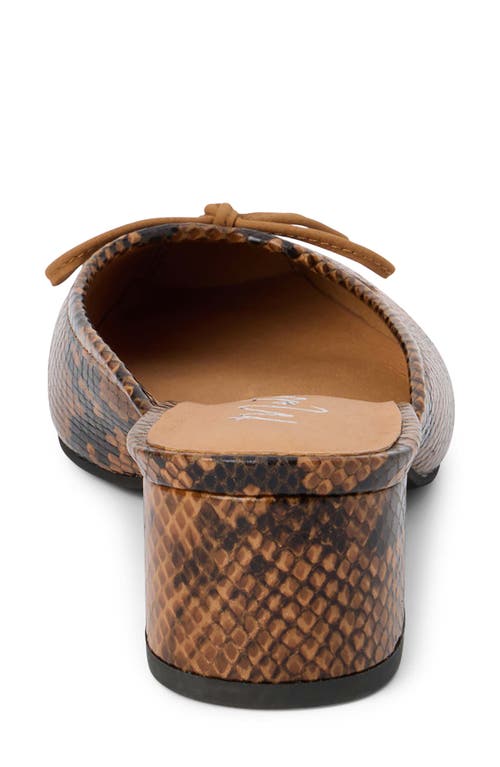 Matisse Basilio Heeled Mule In Brown Snake In Brown
