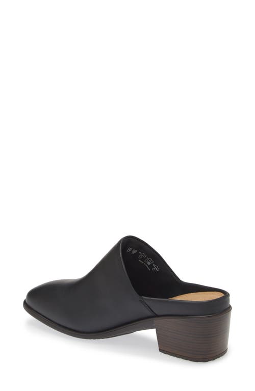 Naot Dedicate Mule In Jet Black Leather