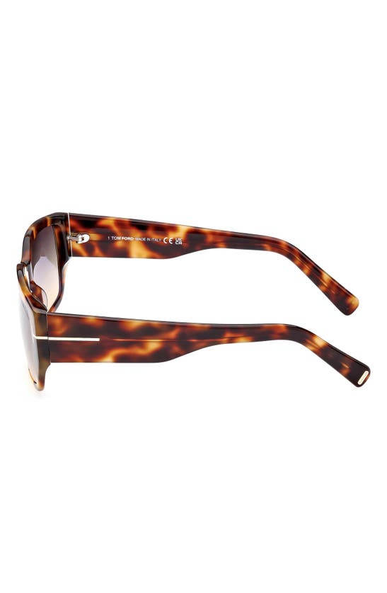 Tom Ford Andres 56mm Square Sunglasses In Coloured Havana / Smoke