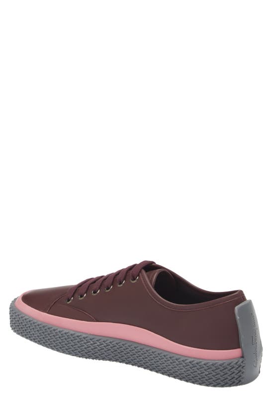 Shop Icon Trade Services Storm Leather Sneaker In Burgundy