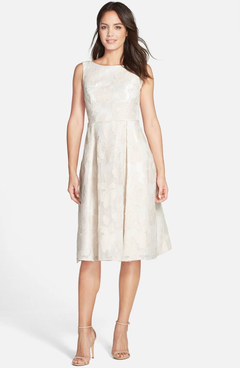 Adrianna Papell Burnout Lace Fit & Flare Midi Dress | Nordstrom