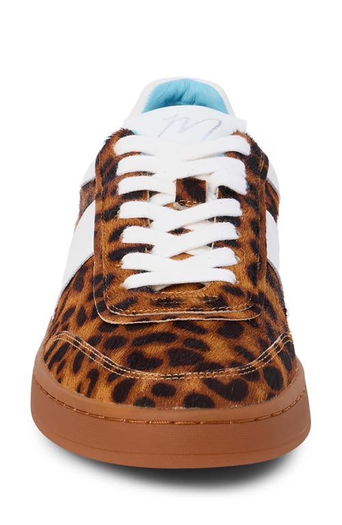 Shop Matisse Quincy Sneaker In Tan Leopard