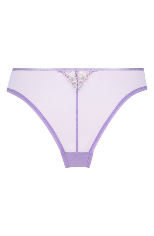 Shop Hunkemoller Hunkemöller Lillia Brazilian Briefs In Lavender