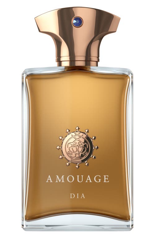 UPC 701666300960 AMOUAGE Dia Man Eau de Parfum at Nordstrom