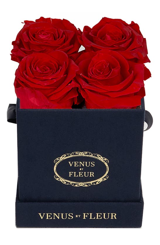 Venus Et Fleur Classic Le Petit Eternity Roses In Red Modesens