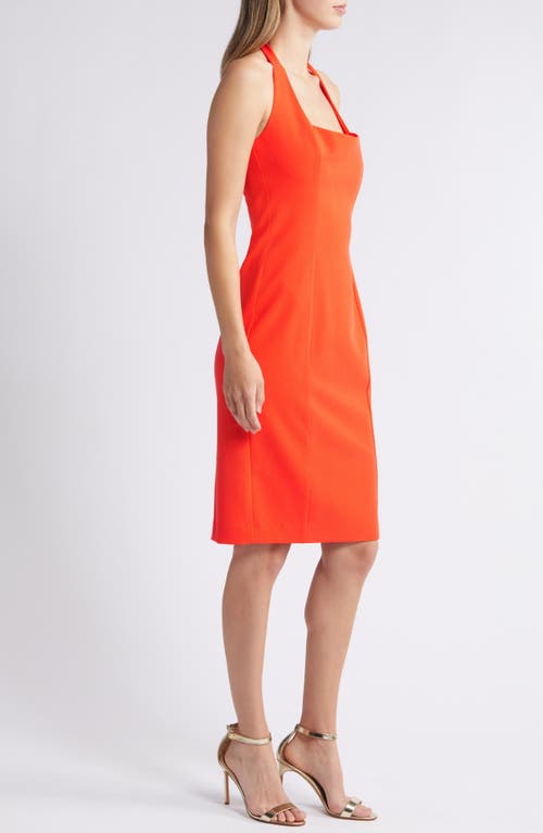 Shop Black Halo Zarela Halter Neck Sheath Cocktail Dress In Orange Tang