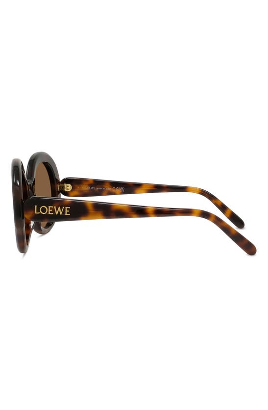 Shop Loewe Thin 52mm Round Sunglasses In Dark Havana / Brown