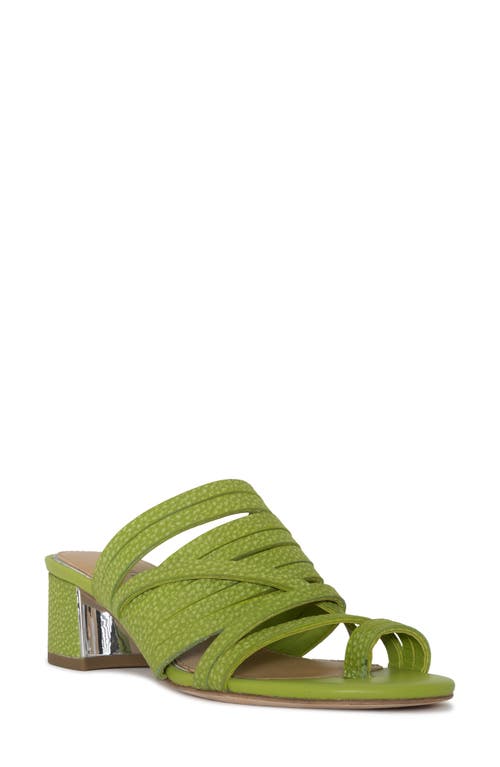 Donald Pliner Strappy Block Heel Sandal Pistachio at Nordstrom,