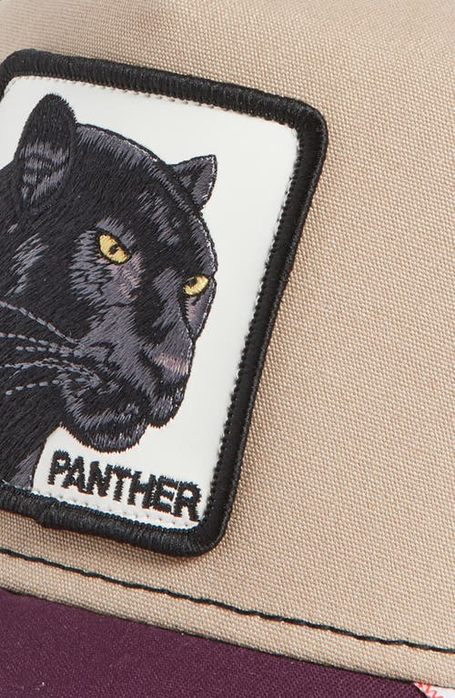 Goorin Bros . Panther Baseball Cap In Purple