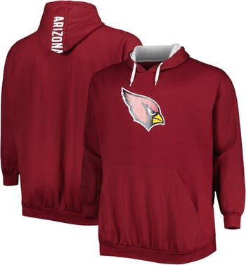 Youth Cardinal Arizona Cardinals Primary Team Logo Pullover Hoodie
