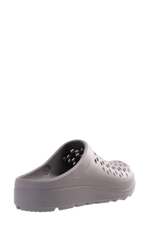 Shop Revitalign Fusion Vitality Clog In Grey