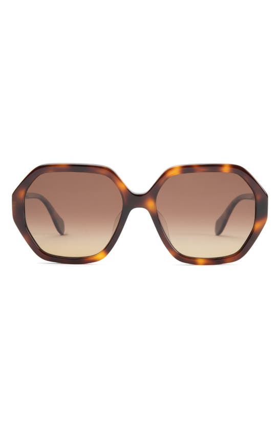Mohala Eyewear Noela Special Fit Low 58mm Gradient Polarized Square Sunglasses In Tiger Eye Tortoise