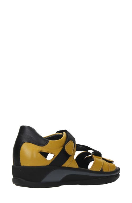 Wolky Desh Sandal In Amber Leather