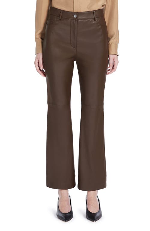 Nectar Leather Bootcut Pants in Chocolate
