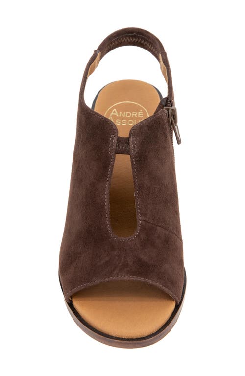 Shop Andre Assous André Assous Belinda Wedge Slingback Sandal In Cocoa Powder