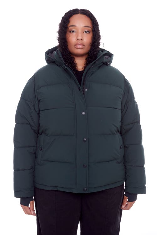 Shop Alpine North Forillon Plus Size In Deep Green