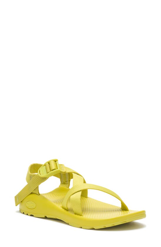Chaco Z/1 Chromatic Sandal In Cress Green