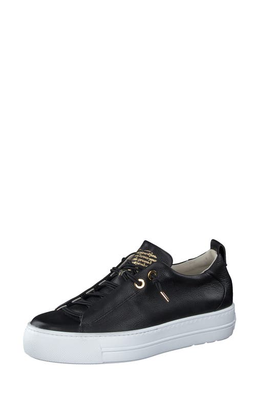 Faye Sneaker in Black Gold Combo