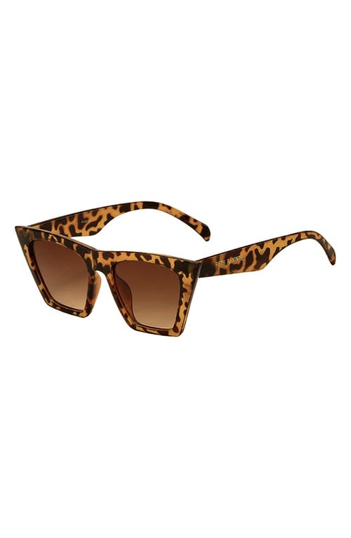 Chicago 53mm Cat Eye Sunglasses in Torte/Brown