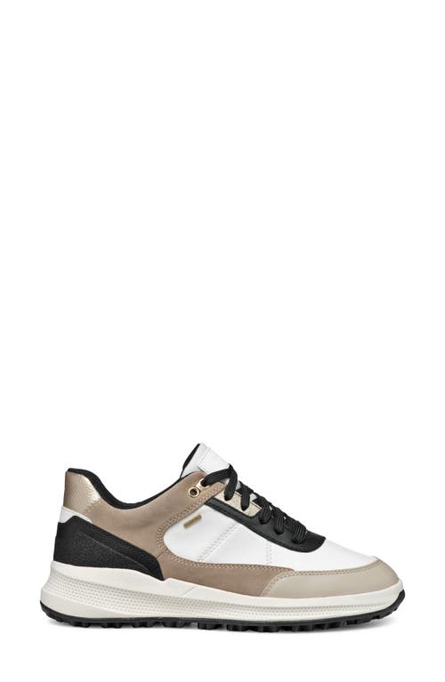 Shop Geox Pg1x Abx Waterproof Sneaker In White/light Taupe